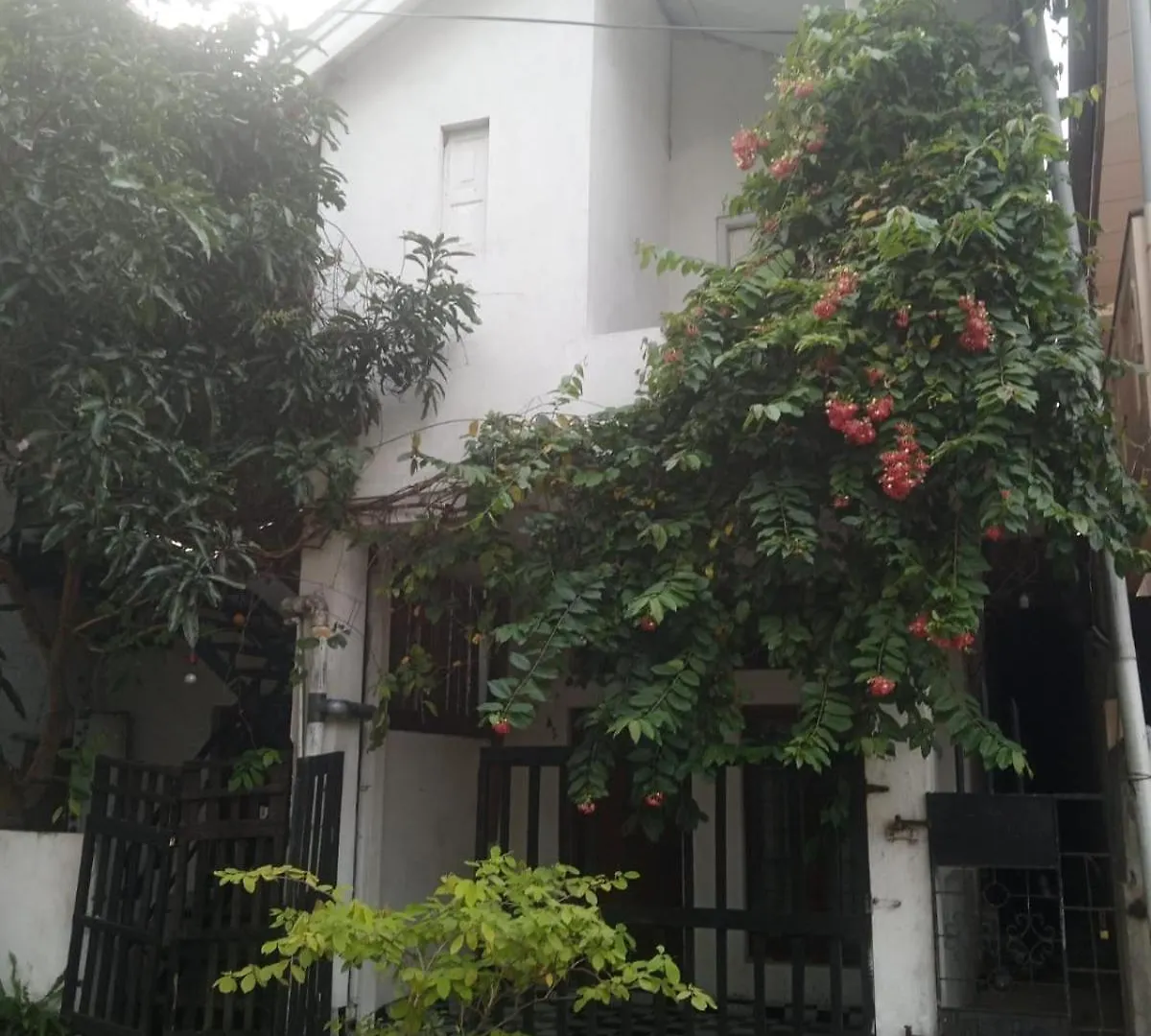 Alloggio in famiglia Green City Villa Negombo